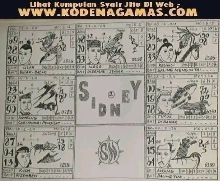SYAIR SDY VIP